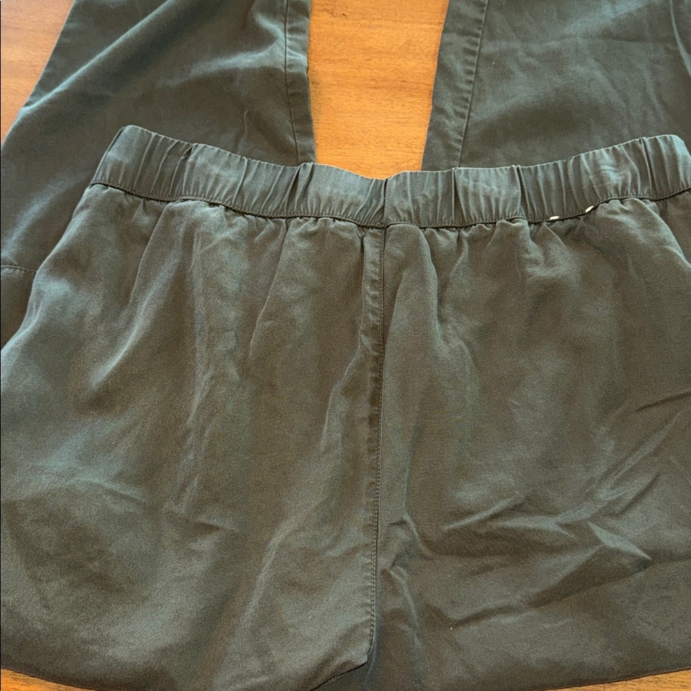 Banana Republic Sage Green Jogger Tencel Pants - Picture 5 of 7